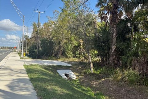Land in Parrish, Florida № 2232917 - photo 3