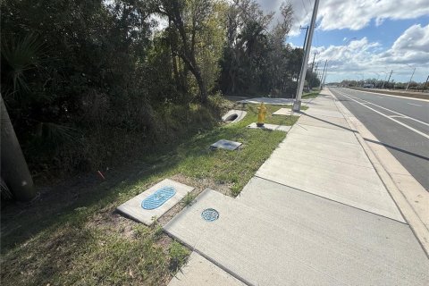 Land in Parrish, Florida № 2232917 - photo 2