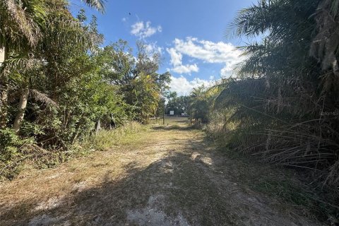 Land in Parrish, Florida № 2232917 - photo 4