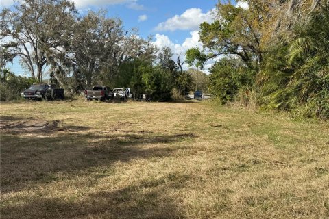 Land in Parrish, Florida № 2232917 - photo 8