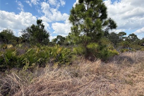 Land in Lehigh Acres, Florida № 2159383 - photo 4
