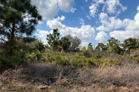 Land in Lehigh Acres, Florida № 2159383 - photo 5