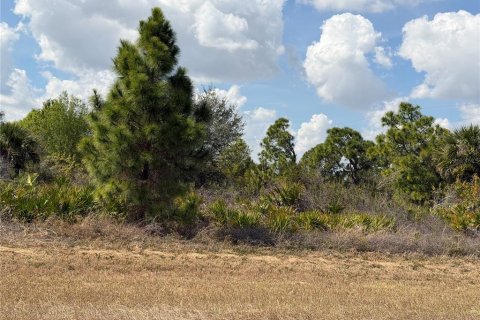 Land in Lehigh Acres, Florida № 2159383