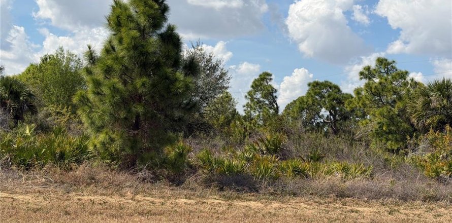 Land in Lehigh Acres, Florida № 2159383