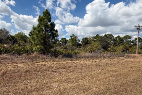 Land in Lehigh Acres, Florida № 2159383 - photo 2
