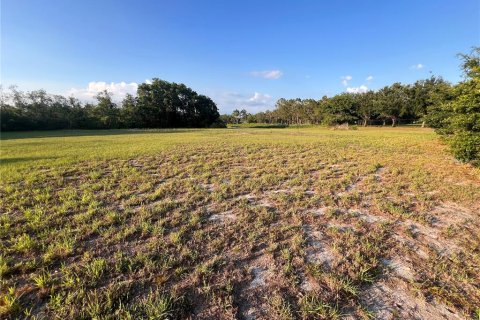 Terrain à vendre à Sebring, Floride № 2098111 - photo 6