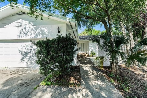 House in Temple Terrace, Florida 4 bedrooms, 177.44 sq.m. № 1805813 - photo 26