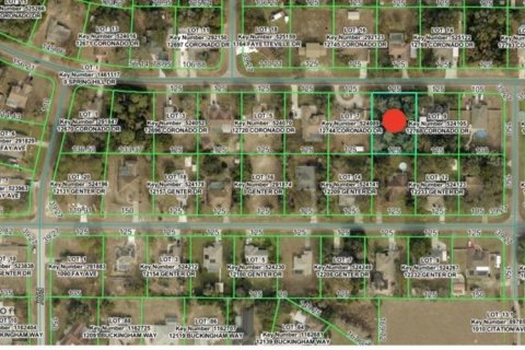 Land in Spring Hill, Florida № 2386135 - photo 2