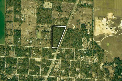 Terrain à Morriston, Floride № 2224560