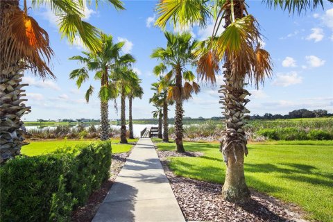 Land in Auburndale, Florida № 1642175 - photo 21