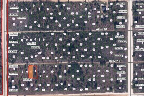 Land in Interlachen, Florida № 2223873 - photo 2