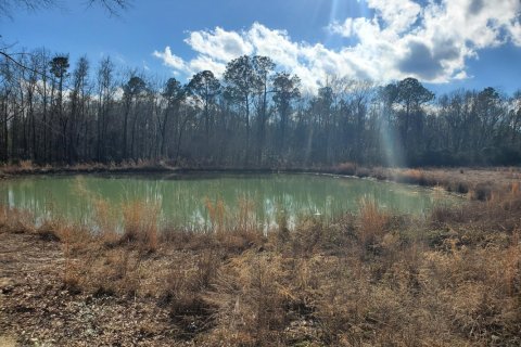 Terreno en venta en Jay, Florida № 558645 - foto 1
