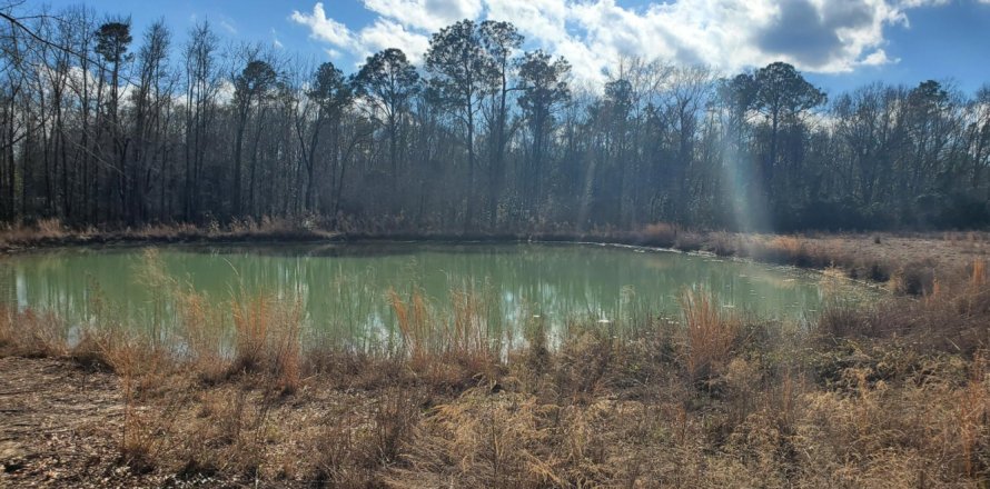 Terreno en Jay, Florida № 558645