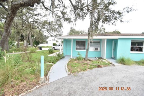 Apartamento en alquiler en Dunedin, Florida, 1 dormitorio, 34.84 m2 № 1914478 - foto 2
