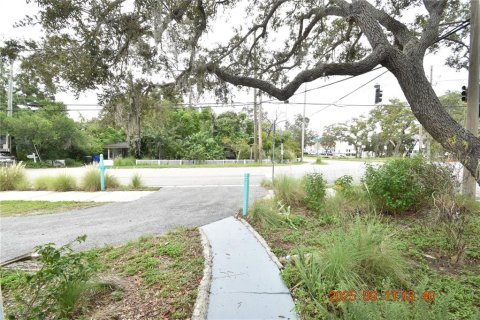 Apartamento en alquiler en Dunedin, Florida, 1 dormitorio, 34.84 m2 № 1914478 - foto 5