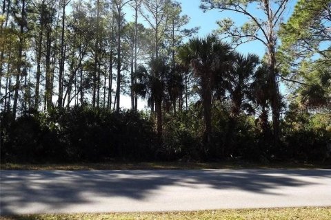 Land in Port Charlotte, Florida № 2162574 - photo 10