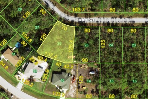 Land in Port Charlotte, Florida № 2162574 - photo 5