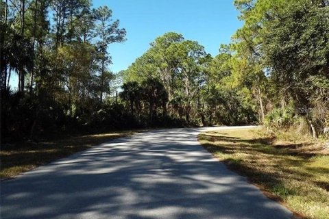 Land in Port Charlotte, Florida № 2162574 - photo 9