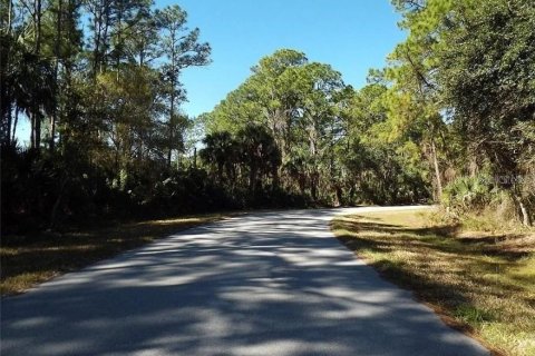 Land in Port Charlotte, Florida № 2162574 - photo 7