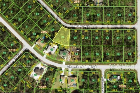 Land in Port Charlotte, Florida № 2162574 - photo 6