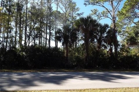 Land in Port Charlotte, Florida № 2162574 - photo 8