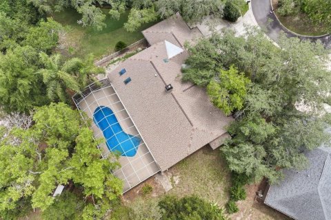 House in New Port Richey, Florida 3 bedrooms, 184.6 sq.m. № 2155682 - photo 24