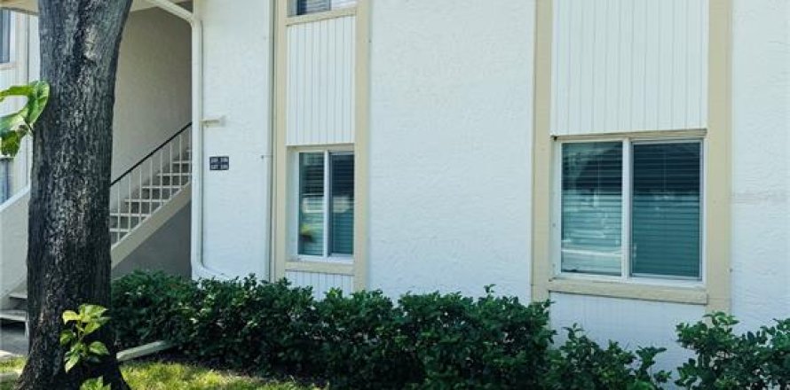 Condo in Oldsmar, Florida, 2 bedrooms  № 1857776