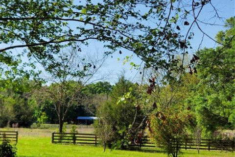 House in High Springs, Florida 3 bedrooms, 164.81 sq.m. № 2224782 - photo 23