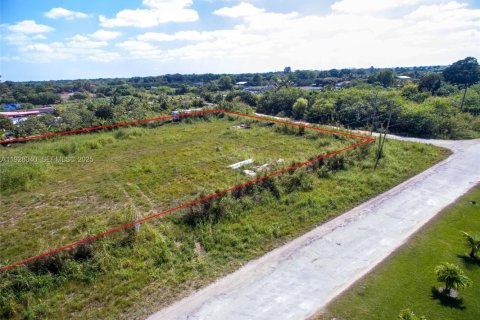Land in Miami, Florida № 2072817