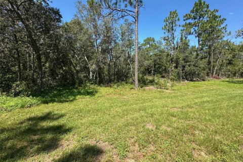 House in Citrus Springs, Florida 3 bedrooms, 143.81 sq.m. № 1894395 - photo 26