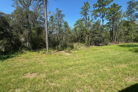 House in Citrus Springs, Florida 3 bedrooms, 143.81 sq.m. № 1894395 - photo 27