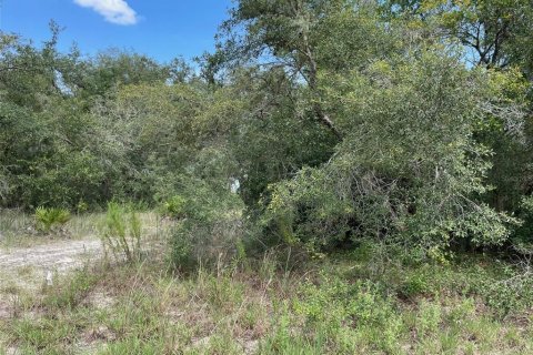 Terrain à vendre à Dunnellon, Floride № 1915050 - photo 8
