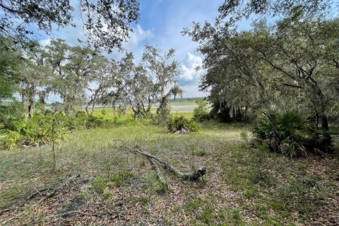 Terrain à vendre à Dunnellon, Floride № 1915050 - photo 3