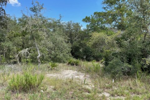 Terrain à vendre à Dunnellon, Floride № 1915050 - photo 6