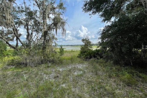 Terrain à vendre à Dunnellon, Floride № 1915050 - photo 2