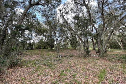 Terrain à vendre à Dunnellon, Floride № 1915050 - photo 5