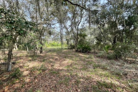 Terrain à vendre à Dunnellon, Floride № 1915050 - photo 4