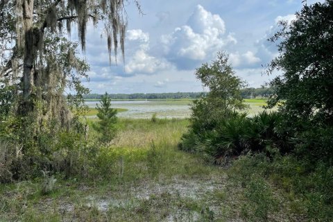 Terrain à vendre à Dunnellon, Floride № 1915050 - photo 1