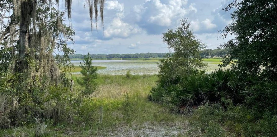 Terrain à Dunnellon, Floride № 1915050
