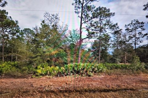 Terreno en venta en Interlachen, Florida № 1528314 - foto 1
