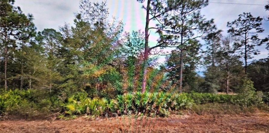 Terreno en Interlachen, Florida № 1528314