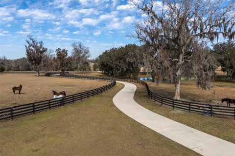 Casa en venta en Ocala, Florida, 4 dormitorios, 325.34 m2 № 2113443 - foto 27