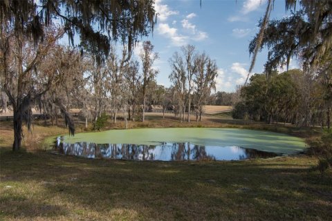 Casa en venta en Ocala, Florida, 4 dormitorios, 325.34 m2 № 2113443 - foto 28