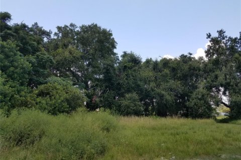Купить земельный участок в Киссимми, Флорида № 2298697 - фото 2