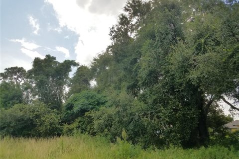 Купить земельный участок в Киссимми, Флорида № 2298697 - фото 15