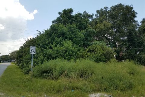 Land in Kissimmee, Florida № 2298697