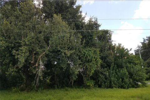 Купить земельный участок в Киссимми, Флорида № 2298697 - фото 5