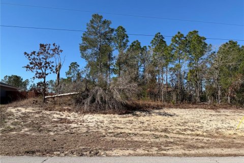 Terrain à Ocala, Floride № 2106637