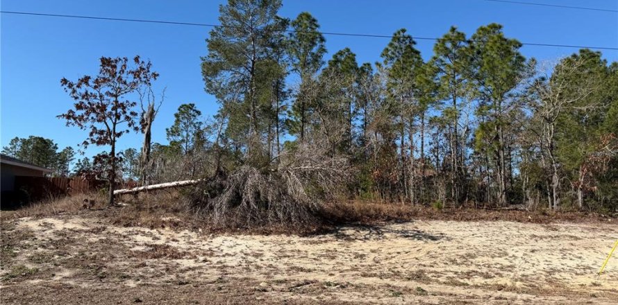 Land in Ocala, Florida № 2106637