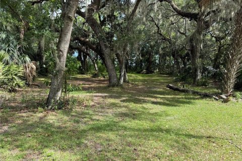 Terrain à Hernando, Floride № 2095096